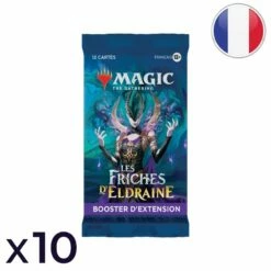 Wizards Of The Coast Lot De 10 Boosters D'extension Les Friches D'Eldraine - Magic FR